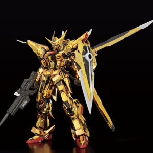 RG 1/144 Gundam Base Limited Akatsuki Gundam [Oowashi Equipment] & HG 1/144 Zeus Silhouette
